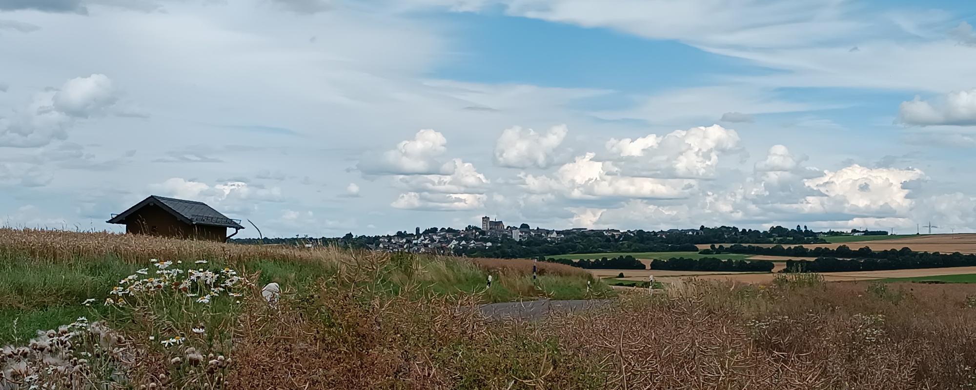 Blick von einem Feldweg vor Pillig aus über die reifen Ährenfelder nach Münstermaifeld, zu sehen ist das Westwerk der Kirche