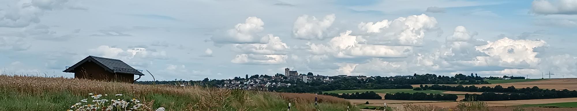 Blick von einem Feldweg vor Pillig aus über die reifen Ährenfelder nach Münstermaifeld, zu sehen ist das Westwerk der Kirche