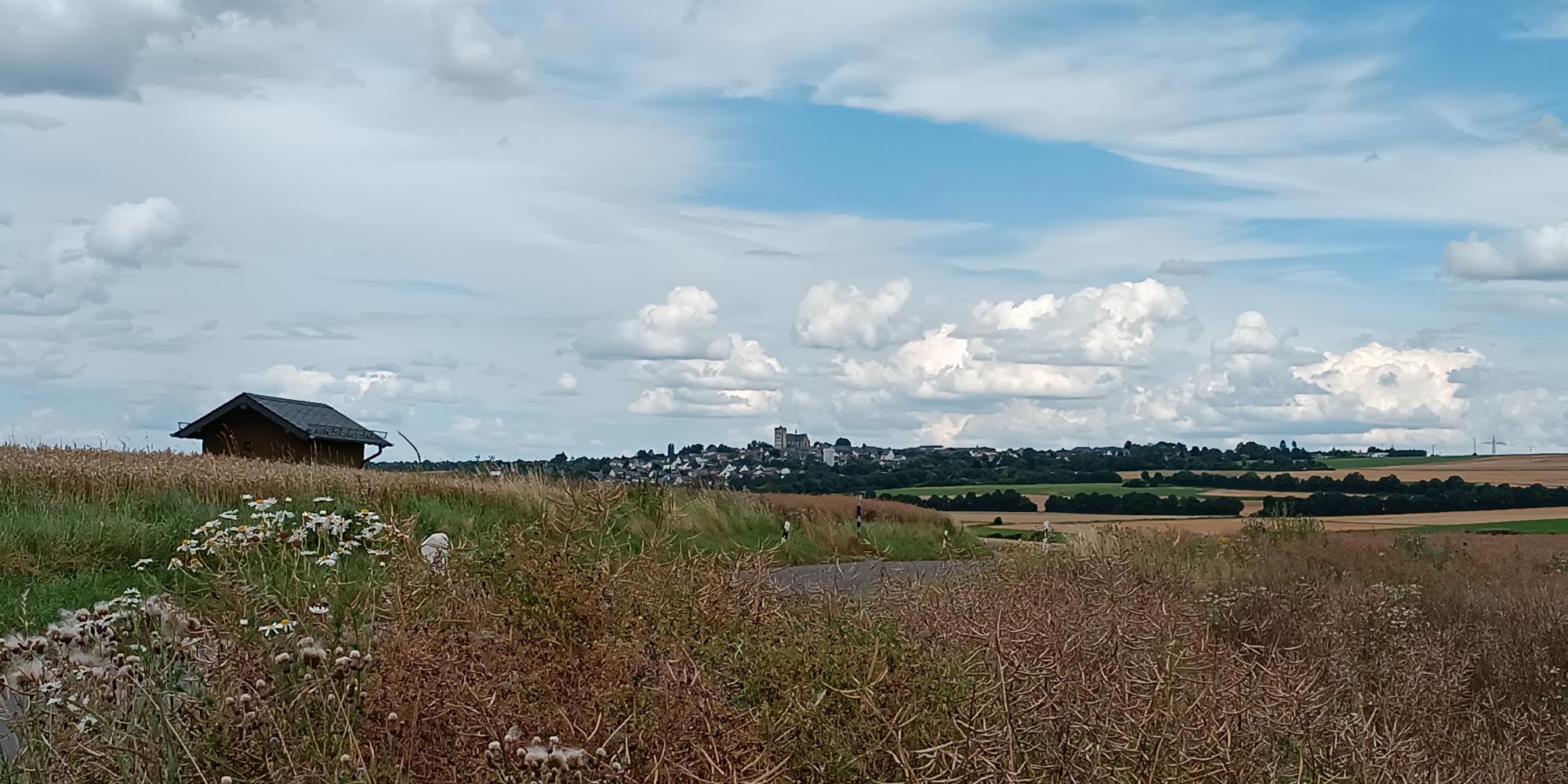 Blick von einem Feldweg vor Pillig aus über die reifen Ährenfelder nach Münstermaifeld, zu sehen ist das Westwerk der Kirche