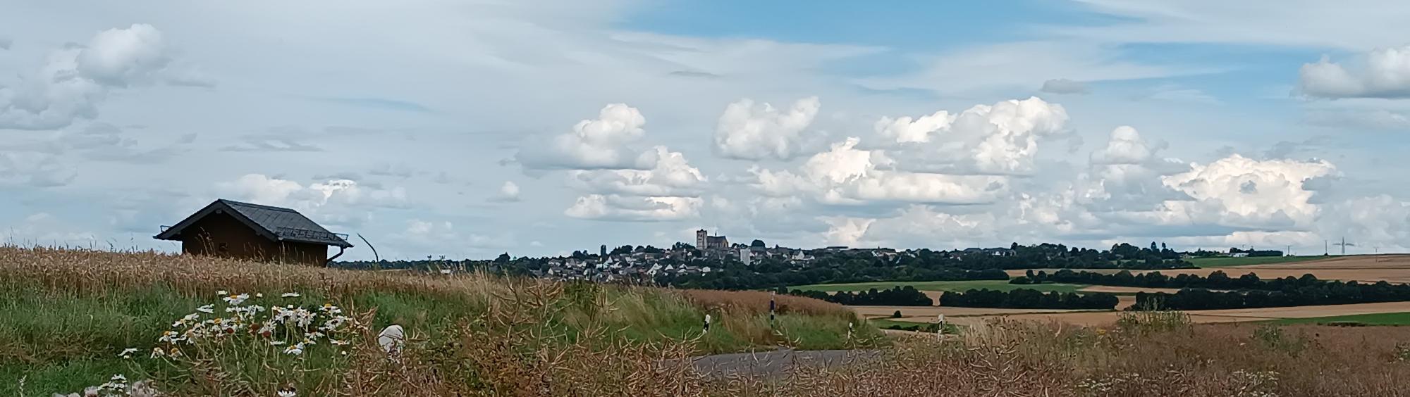 Blick von einem Feldweg vor Pillig aus über die reifen Ährenfelder nach Münstermaifeld, zu sehen ist das Westwerk der Kirche