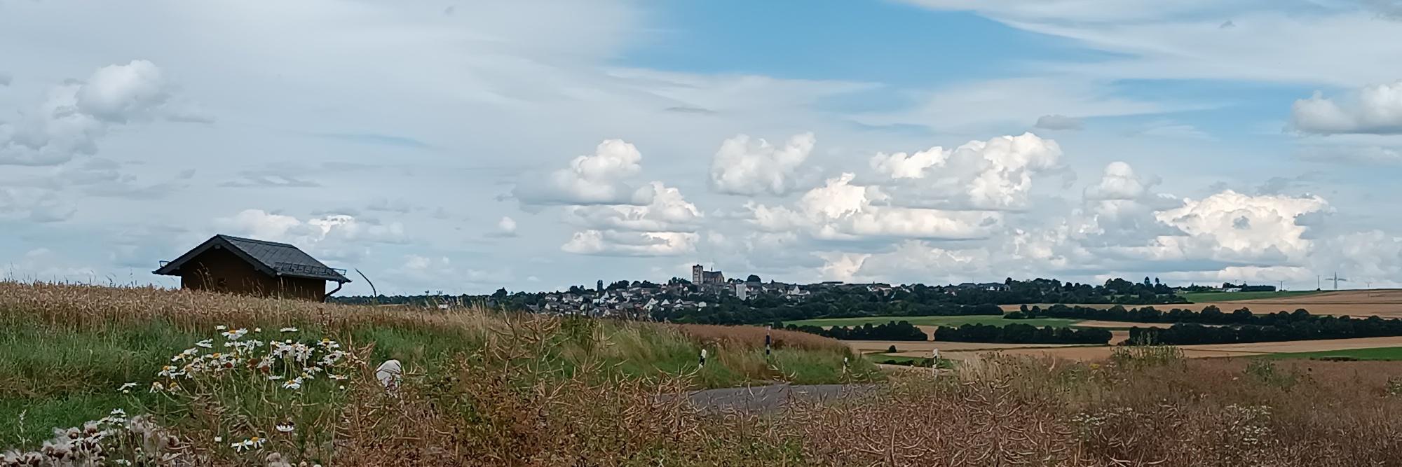 Blick von einem Feldweg vor Pillig aus über die reifen Ährenfelder nach Münstermaifeld, zu sehen ist das Westwerk der Kirche