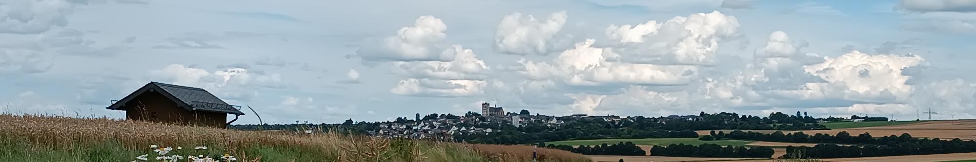 Blick von einem Feldweg vor Pillig aus über die reifen Ährenfelder nach Münstermaifeld, zu sehen ist das Westwerk der Kirche