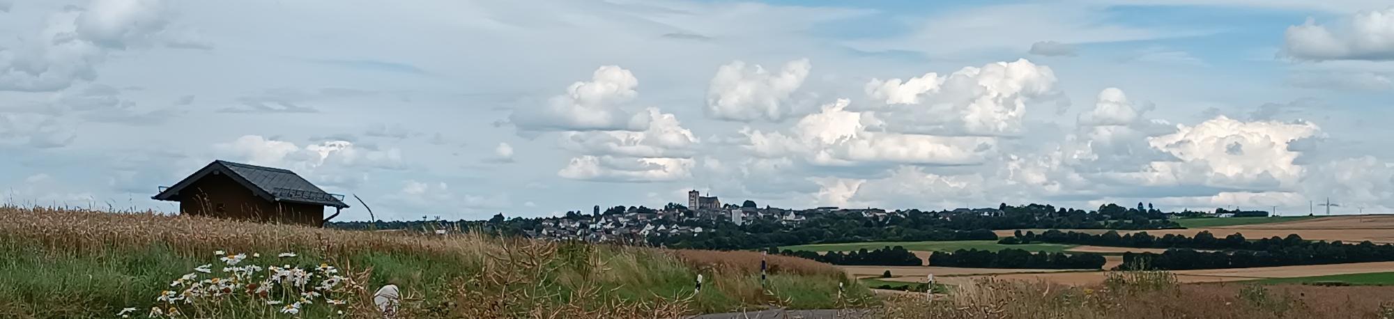 Blick von einem Feldweg vor Pillig aus über die reifen Ährenfelder nach Münstermaifeld, zu sehen ist das Westwerk der Kirche